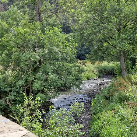 Cozy In With Sauna Дом отдыха