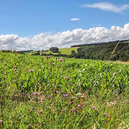Cozy In With Sauna Дом отдыха