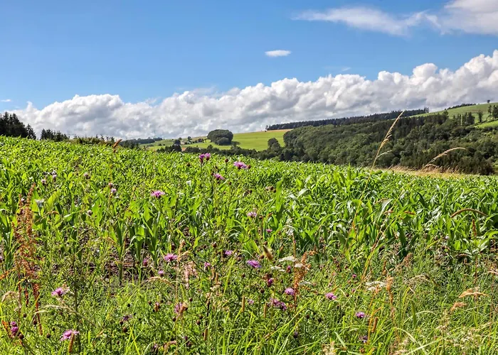 Cozy In With Sauna בית נופש