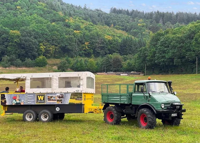 בית נופש Cozy In With Sauna Irrhausen